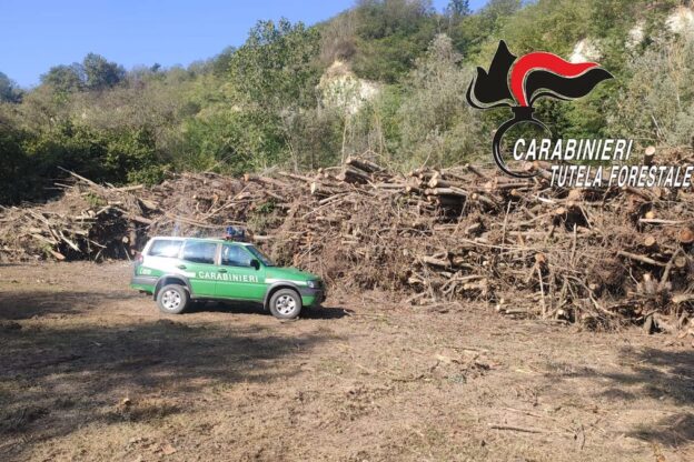 I carabinieri forestali denunciano tre persone per aver tagliato piante nella riserva naturale delle Rocche di Antignano