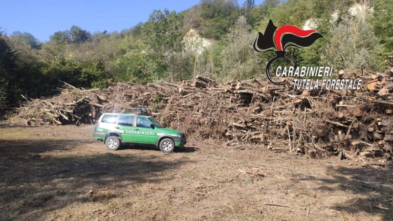 I carabinieri forestali denunciano tre persone per aver tagliato piante nella riserva naturale delle Rocche di Antignano