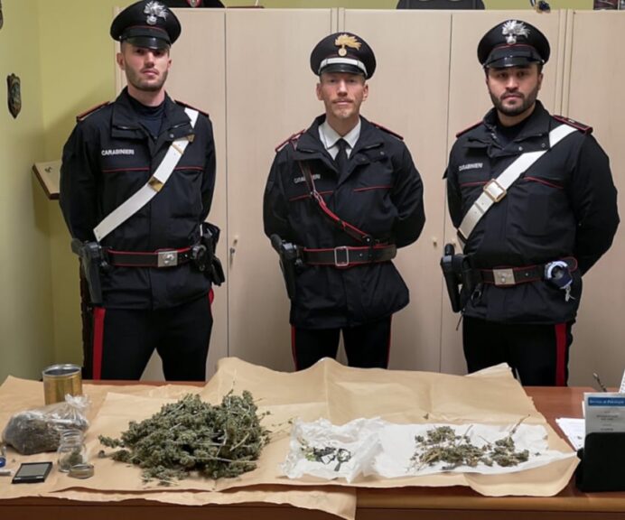 I carabinieri scoprono una coltivazione di marijuana in un terrazzo del centro storico di Moncalvo