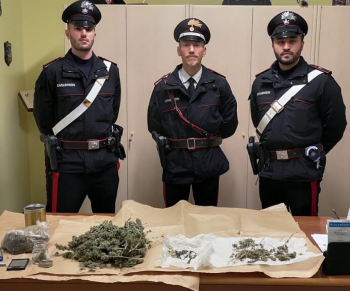 I carabinieri scoprono una coltivazione di marijuana in un terrazzo del centro storico di Moncalvo