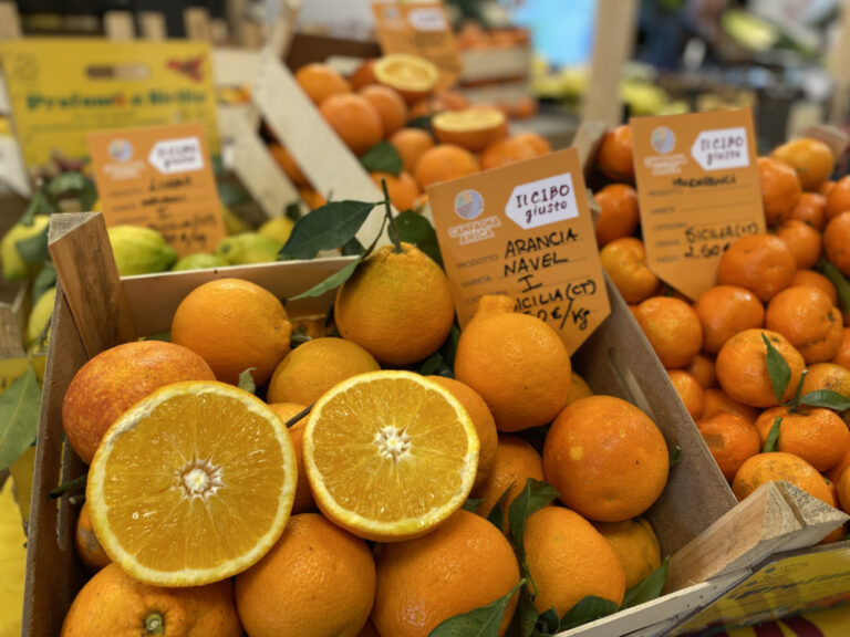 Sabato 29 gennaio al Mercato Contadino di Campagna Amica, un viaggio alla scoperta delle proprietà della vitamina C