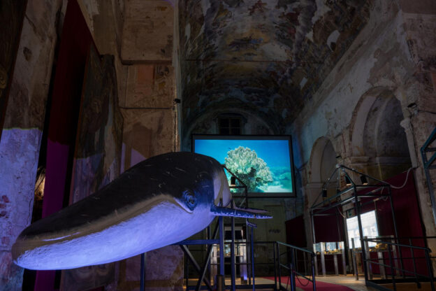 Giornata delle Famiglie al Museo Paleontologico di Asti