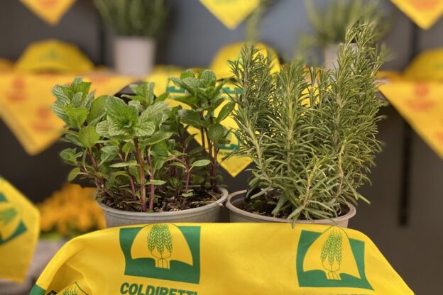 Festa di primavera al Mercato Contadino di Campagna Amica ad Asti