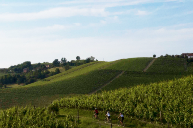 Dopo la pandemia tanti turisti nel territorio di Langhe Monferrato Roero