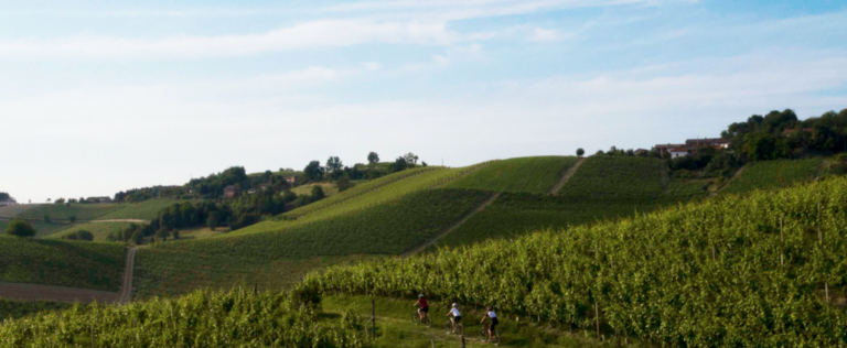 Dopo la pandemia tanti turisti nel territorio di Langhe Monferrato Roero