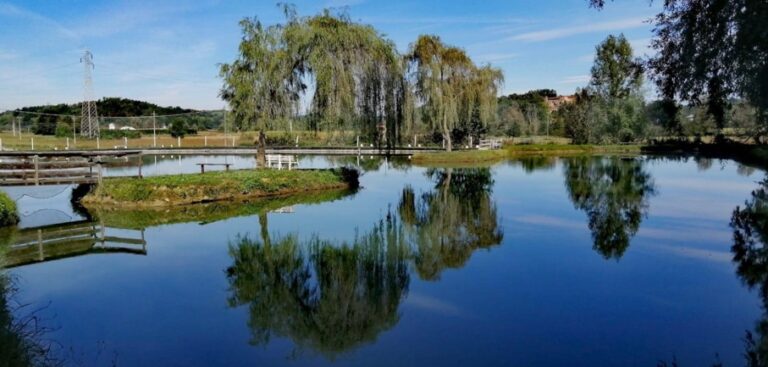 Riapre il Lago Stella e lancia un appello: “Adottate i nostri cinque asini”