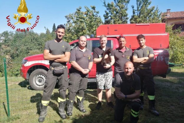 I vigili del fuoco salvano un gattino finito in un pozzo