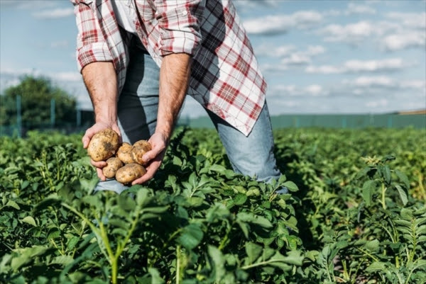 Lavoratori stagionali: Asti Agricoltura denuncia il problema del blocco della manodopera straniera