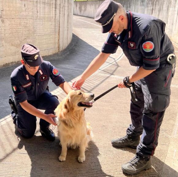 Controlli dei carabinieri forestali contro l’abbandono dei cani