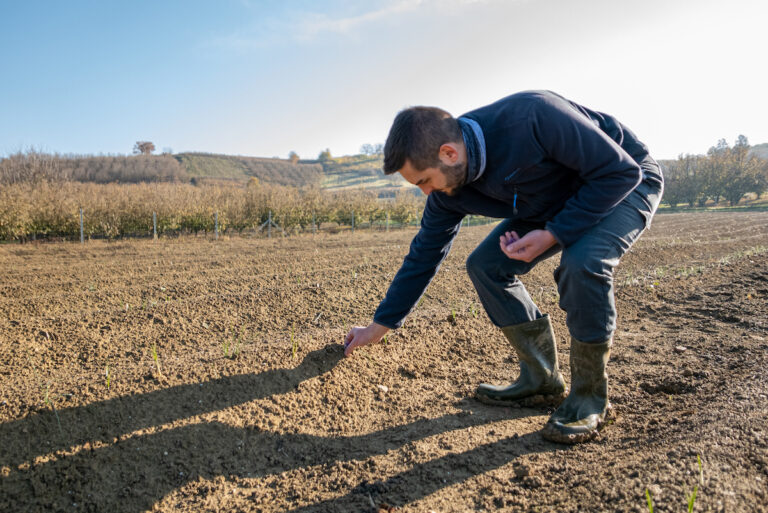 L’agricoltura innovativa di Luigi Gilardetti, giovane imprenditore dell’azienda agricola “Ventuno marzo”