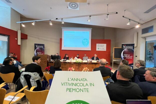 Una vendemmia 2022 da quattro stelle e mezzo
