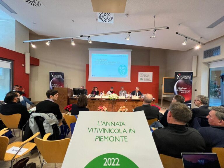 Una vendemmia 2022 da quattro stelle e mezzo