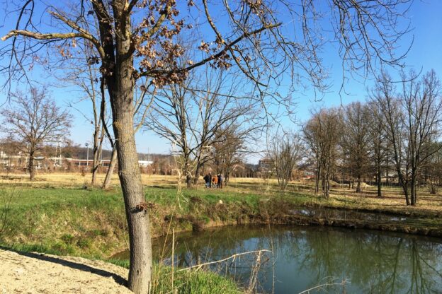 <strong>A Villafranca il Comune presenta ai volontari il progetto sul Parco delle Verne</strong>