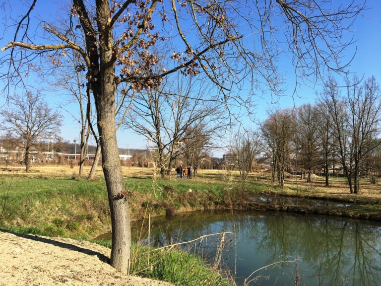 <strong>A Villafranca il Comune presenta ai volontari il progetto sul Parco delle Verne</strong>