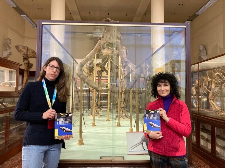 “Fossili e Territori” a Bologna nel museo dei mastodonti astigiani