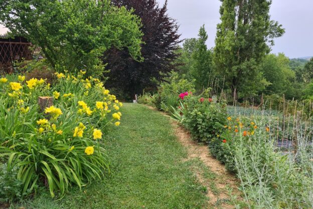 A Villafranca un corso di giardinaggio organizzato da Legambiente Valtriversa