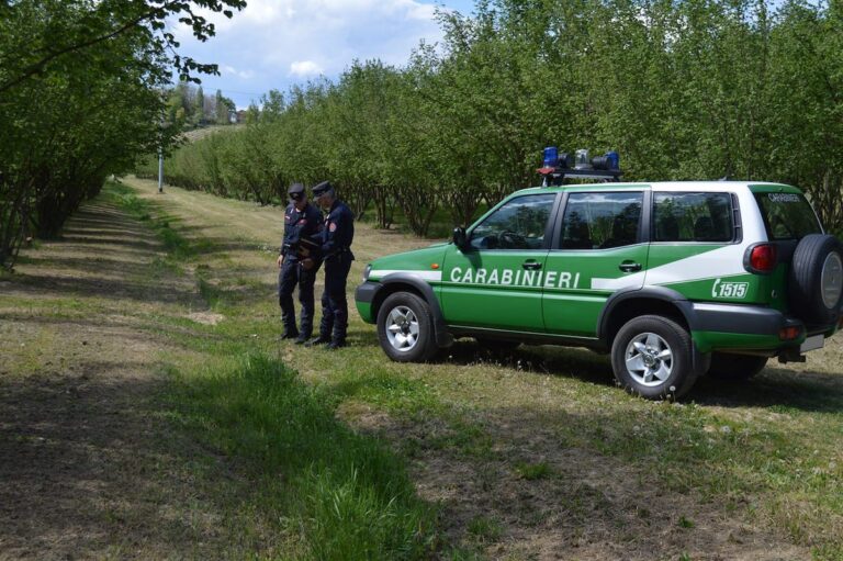 Controlli dei carabinieri forestali sull’uso dei pesticidi chimici in agricoltura