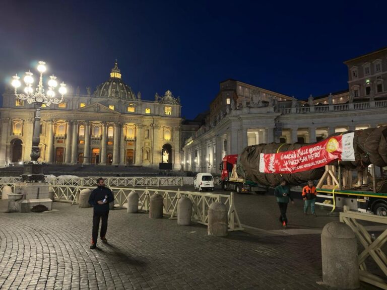 In piazza San Pietro l’albero di Natale donato dal Piemonte a Papa Francesco