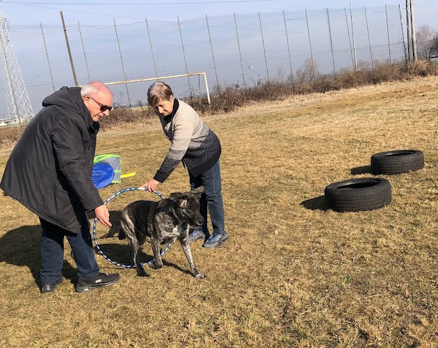 Novità e tante attività con “I cani dell’isola asd”