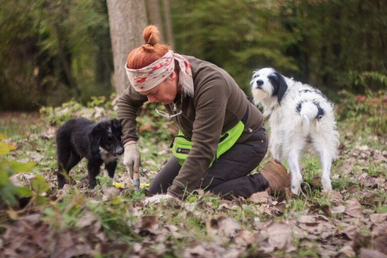 Al centro cinofilo “I cani dell’Isola asd” un corso per la cerca del tartufo