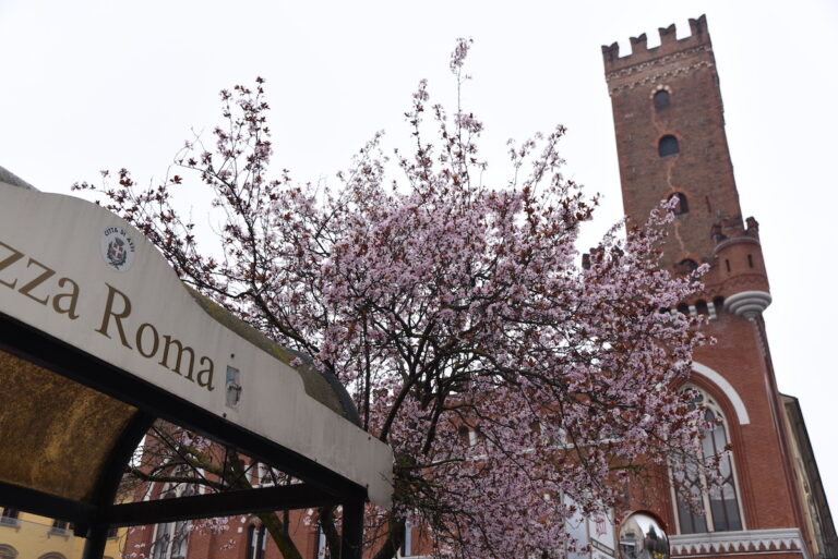 M’illumino le torri: un percorso museale all’aperto alla scoperta del centro