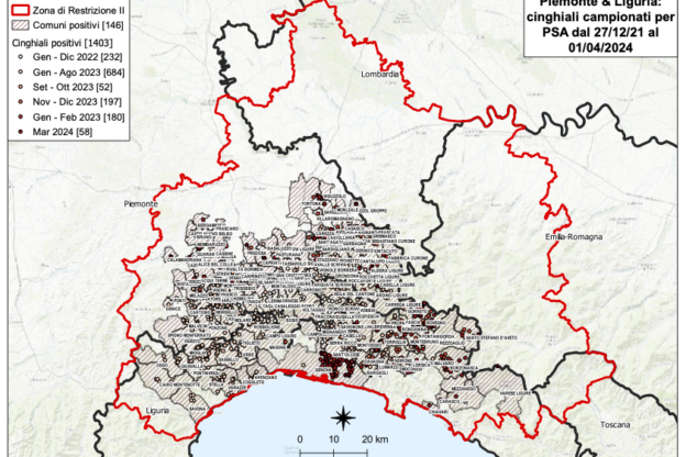 Psa, dodici nuovi casi tra Piemonte e Liguria