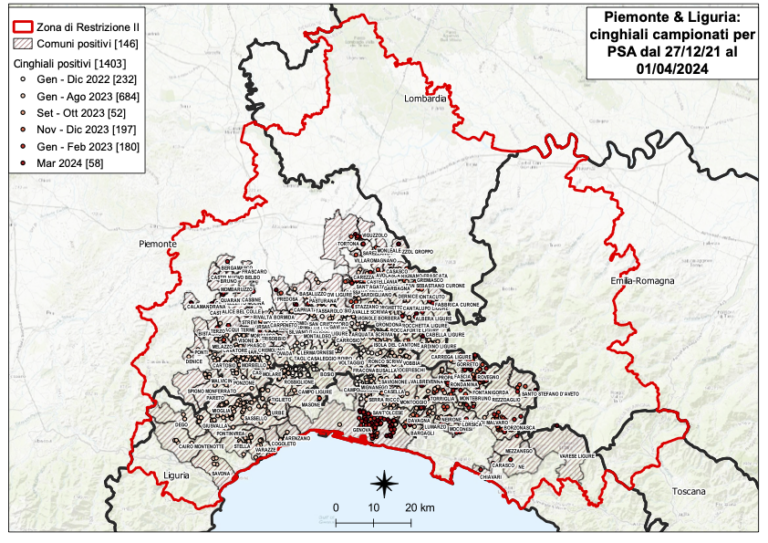 Psa, dodici nuovi casi tra Piemonte e Liguria