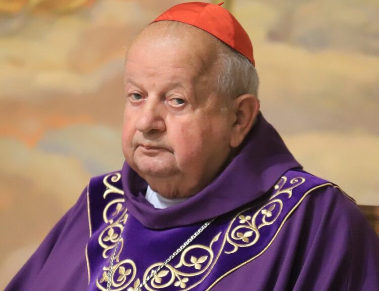 Il cardinal Dziwisz in visita a Isola