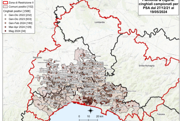 Psa, in Piemonte i casi sono 656