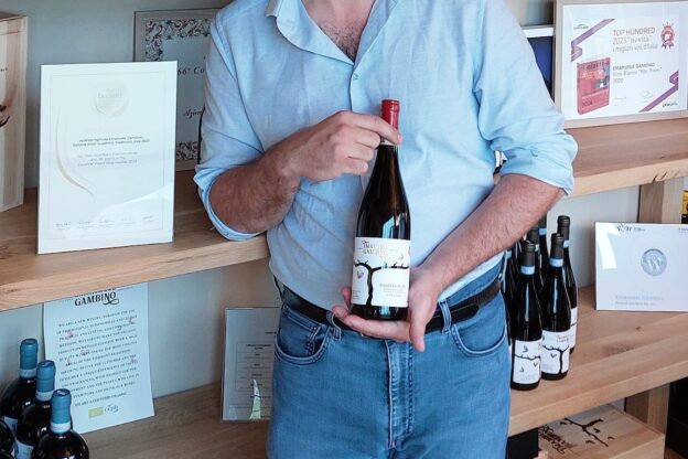 La Barbera d’Asti Superiore 2020 Emanuele Gambino al top dei Decanter World Wine Awards