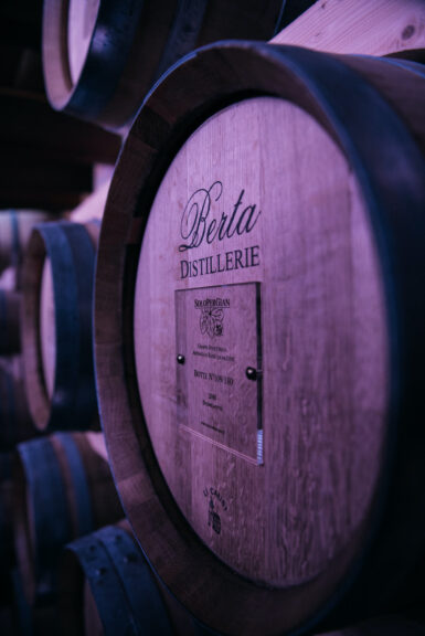 Tornano le lezioni della Fondazione SoloPerGian con “Mondo Cocktail”: il nuovo corso gratuito e in presenza per giovani aspiranti bartender