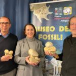 La Riserva dei fossili compie 40 anni: dal 25 marzo eventi per ricordare e guardare al futuro