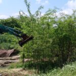 Disastro annunciato nel lungo Borbore di Asti