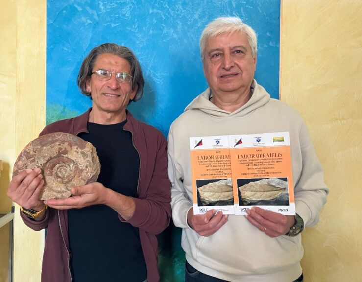 Omaggio ai fossili storici di Valle Andona e al suo studioso Carlo Ludovico Allioni  