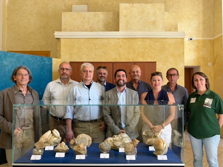 Le conchiglie del Settecento che raccontano la ricchezza del territorio di Valle Andona 