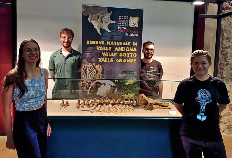 Il Servizio Civile al Museo dei Fossili: quattro giovani volontari in azione per un anno