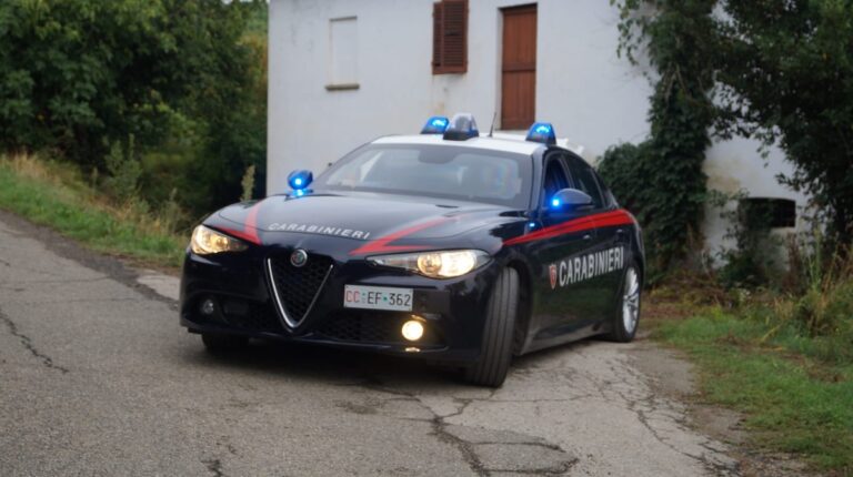 Schivi delle vigne scoperti dai carabinieri di Canelli