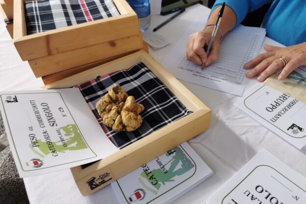 A Moncalvo si lavora per la Festa del Tartufo