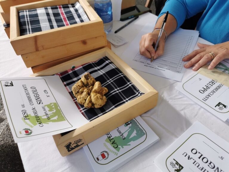 A Moncalvo si lavora per la Festa del Tartufo