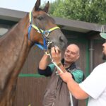 Al via le visite veterinarie sui cavalli in vista del Palio