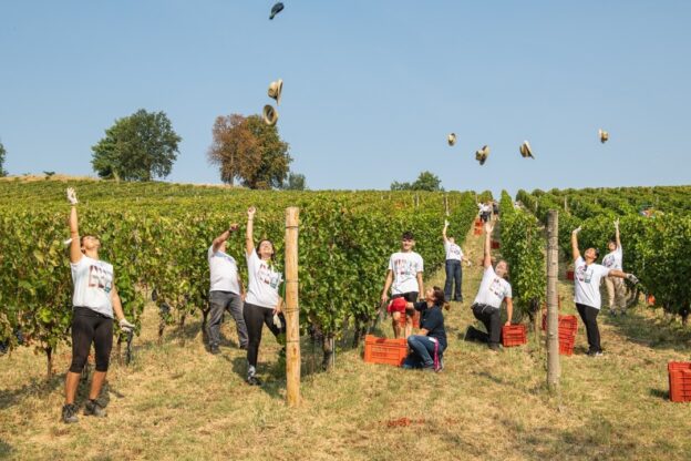 Da Braida vendemmia didattica con degustazione tra i filari di barbera