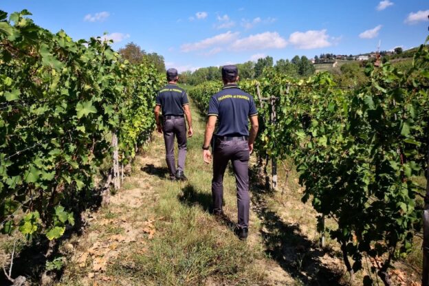 Controlli della guardia di finanza in vista della vendemmia
