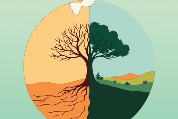 Semi di pace e di speranza: gli appuntamenti per il Mese del Creato